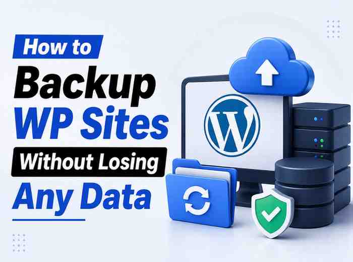 How to backup wp sites without losing any data